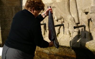 A dieta atlántica e o estilo de vida: o gran segredo da lonxevidade dos galegos